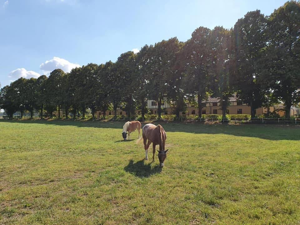 Agriturismo Tenuta "Il Cigno" Villanterio ภายนอก รูปภาพ