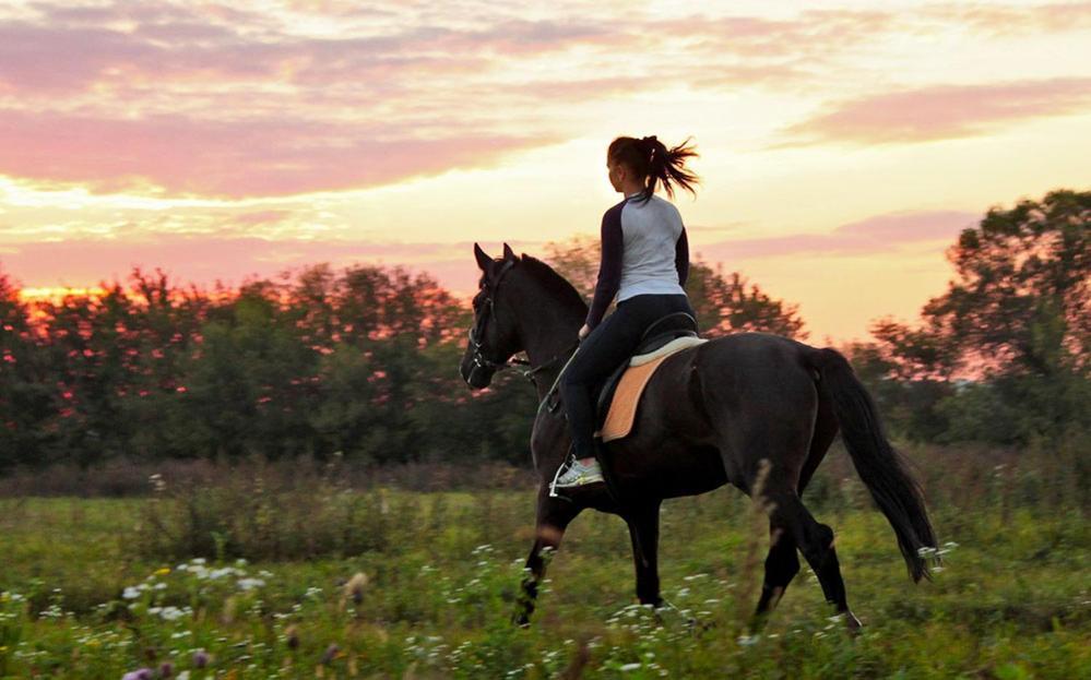 Agriturismo Tenuta "Il Cigno" Villanterio ภายนอก รูปภาพ
