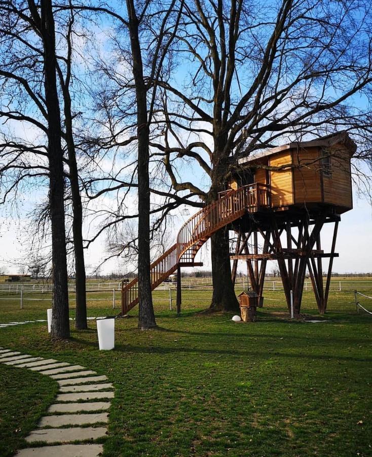 Agriturismo Tenuta "Il Cigno" Villanterio ภายนอก รูปภาพ
