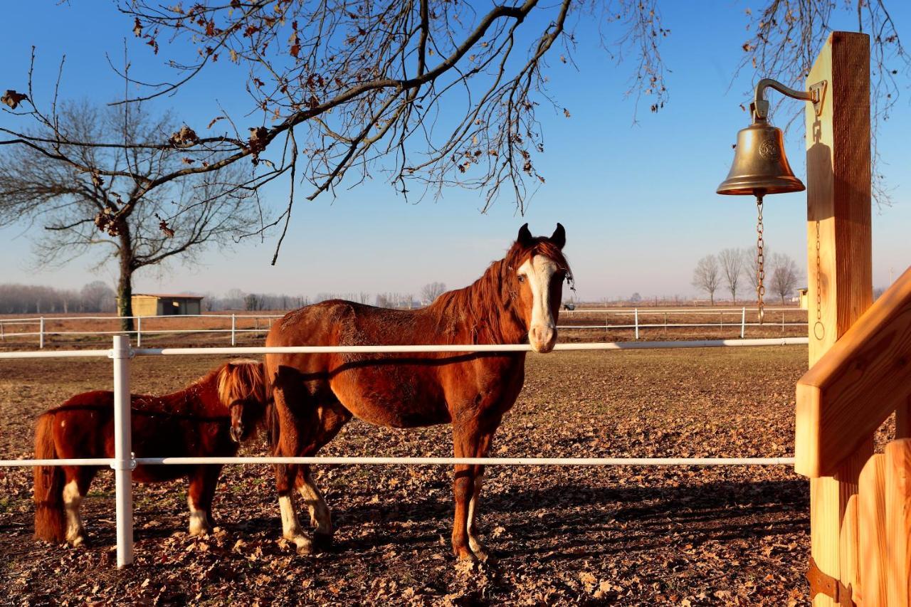 Agriturismo Tenuta "Il Cigno" Villanterio ภายนอก รูปภาพ